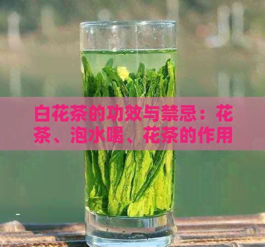 白花茶的功效与禁忌：花茶、泡水喝、花茶的作用解析