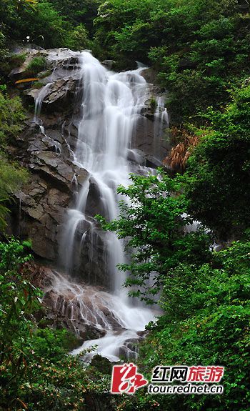 去大围山赏万亩杜鹃花五大主题活动玩出最美春天