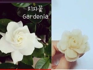 常见裱花-栀子花的做法步骤 第6步