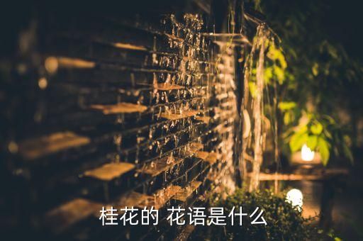  桂花的 花语是什么