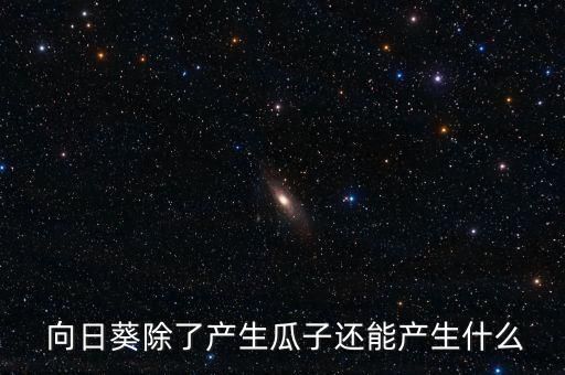  向日葵除了产生瓜子还能产生什么