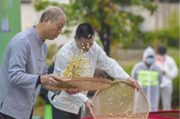 福州茉莉花茶窨制技艺：用千年茉莉，话百年传承