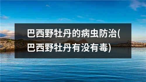 巴西野牡丹的病虫防治(巴西野牡丹有没有毒)