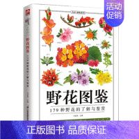 [正版]野花图鉴野花图鉴野花的基本知识从生活形态植物形态别名图片展示详细介绍野花的外形及特点从根本上认识野花自然科普图鉴