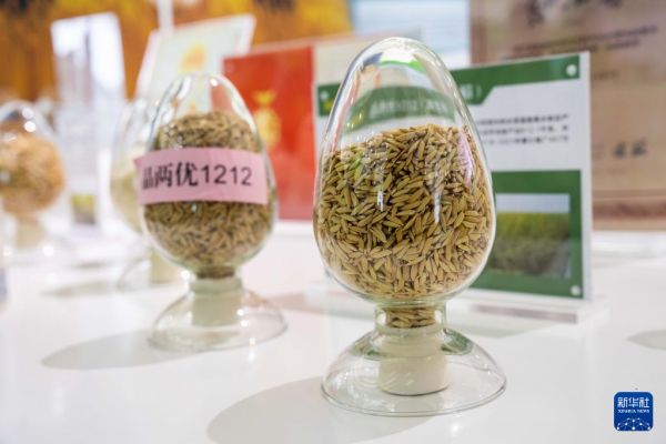 高质量发展调研行｜湖南：努力打造国家种业创新高地