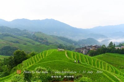 坪山梯田