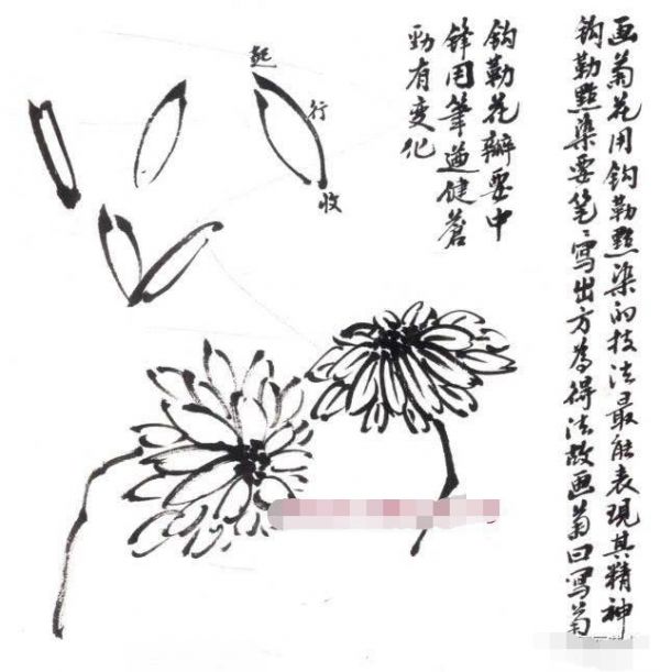 写意墨菊画法，墨菊画花叶技法详解，菊花的各种画法教程！