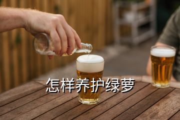 怎样养护绿萝