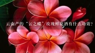 云南产的“云之蝶”玫瑰鲜花酒有什么功效？口感如何？