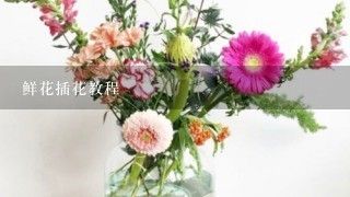 鲜花插花教程