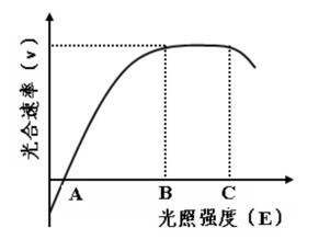 物体的颜色及应用 - 蒋迎仙 - 蒋迎仙的生物课堂内外