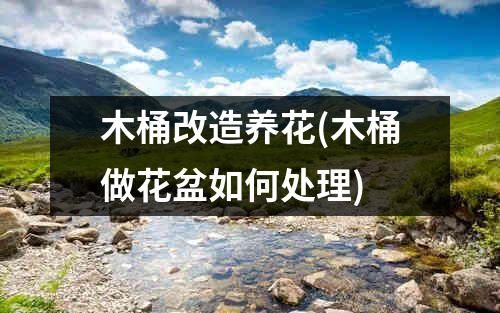 木桶改造养花(木桶做花盆如何处理)