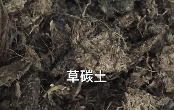 兰花常用植料与配方