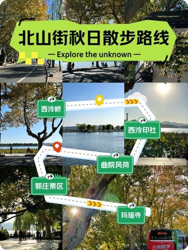 西湖北山街实况梧桐已经黄啦 