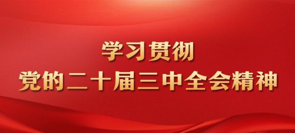 学习贯彻党的二十届三中全会精神