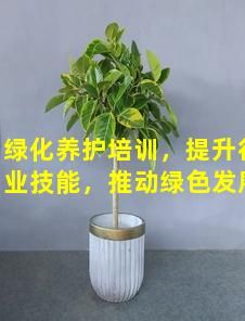 绿化养护培训，提升行业技能，推动绿色发展