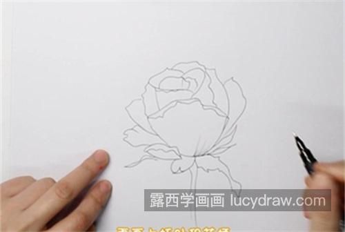 简单好看玫瑰花的简笔画教学 又好看又漂亮玫瑰花简笔画带步骤画法