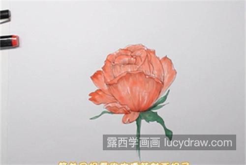 简单好看玫瑰花的简笔画教学 又好看又漂亮玫瑰花简笔画带步骤画法