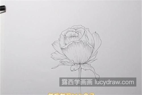 简单好看玫瑰花的简笔画教学 又好看又漂亮玫瑰花简笔画带步骤画法