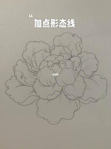 牡丹花怎么画简笔画 牡丹花怎么画简笔画儿童