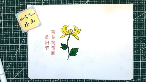 重阳节主题菊花简笔画幼儿儿童绘画教程