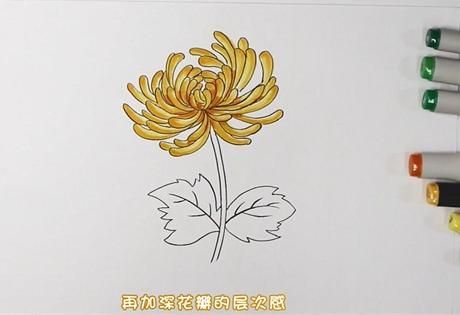 菊花怎么画简单 第1页菊花简笔画图片的画法请关注格格网手抄报菊和饮