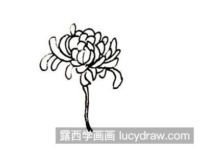 漂亮的彩色菊花简笔画教程 简单的带颜色菊花简笔画怎么画