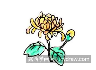 漂亮的彩色菊花简笔画教程 简单的带颜色菊花简笔画怎么画