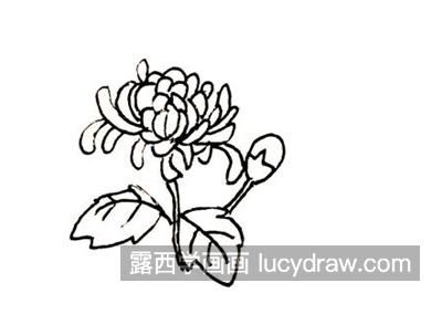 漂亮的彩色菊花简笔画教程 简单的带颜色菊花简笔画怎么画