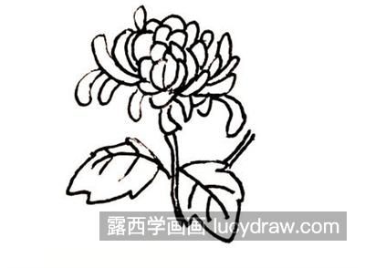 漂亮的彩色菊花简笔画教程 简单的带颜色菊花简笔画怎么画