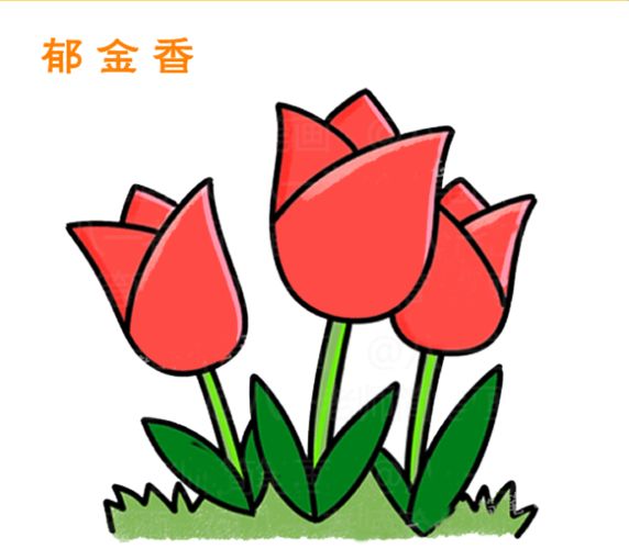 郁金香简笔画