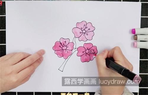 古风又漂亮樱花简笔画怎么画 简单又漂亮樱花简笔画画法