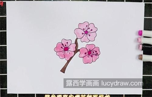 古风又漂亮樱花简笔画怎么画 简单又漂亮樱花简笔画画法