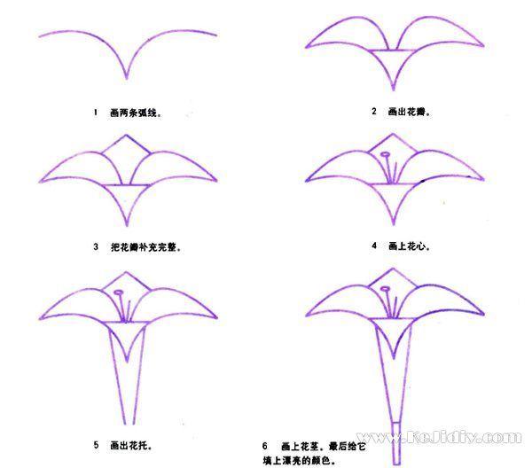 儿童简笔画百合花的画法图片步骤教程-www.qqscb.com