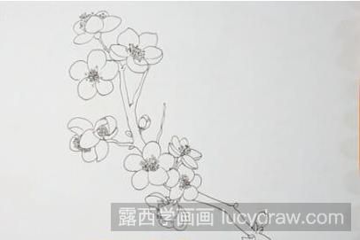 梅花怎么画？简单的梅花简笔画教程