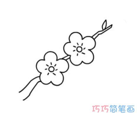 彩色梅花怎么画简洁可爱_梅花简笔画图片