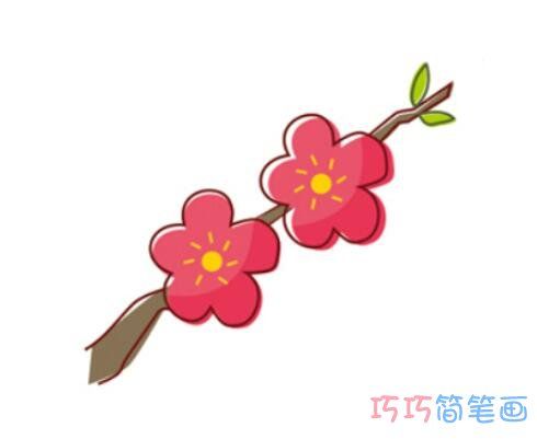 彩色梅花怎么画简洁可爱_梅花简笔画图片