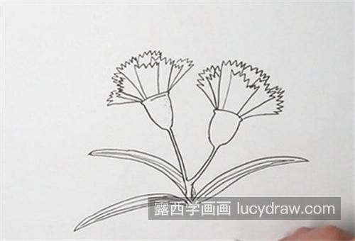 带颜色简单康乃馨简笔画图片大全 最好看又简单康乃馨简笔画怎么画