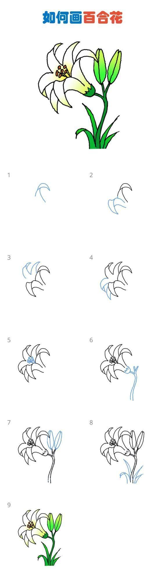 教师节画花：一组花的简笔画教程