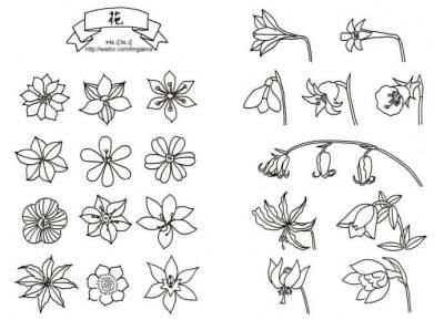 植物花草简笔画