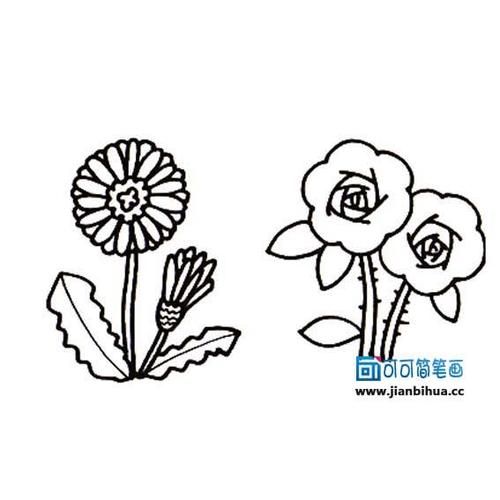 奔跑网植物简笔画图片大全小编每天更新精彩植物简笔画希望对你的