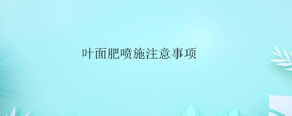 叶面肥喷施注意事项——自制