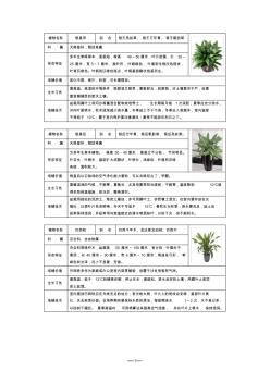 室内盆栽绿化植物图片养殖介绍大全