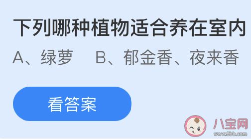 下列哪种植物适合养在室内 蚂蚁庄园3月25日今日答案