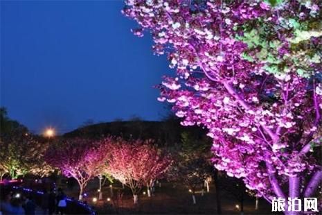 2019大连旅顺樱花节4月19日至5月20日开启 附赏花攻略