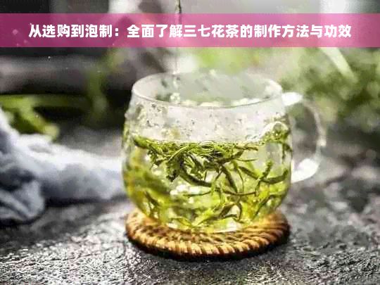 从选购到泡制：全面了解三七花茶的制作方法与功效