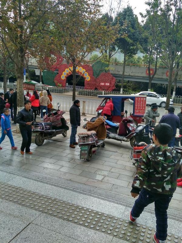 游在昆明，逛了一下花市