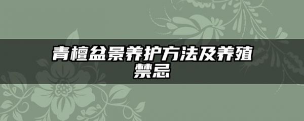 青檀盆景养护方法及养殖禁忌