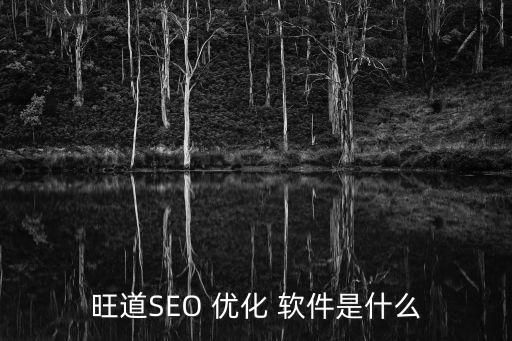 旺道SEO 优化 软件是什么