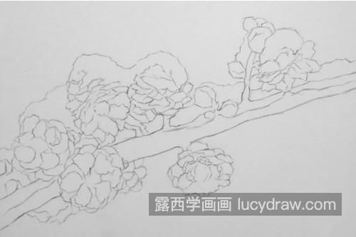 素描梅花怎么画？如何画出梅花的风骨？